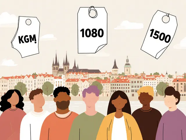 Ceník služeb v psychoterapii: Průměrné ceny v ČR a co ovlivňuje cenu