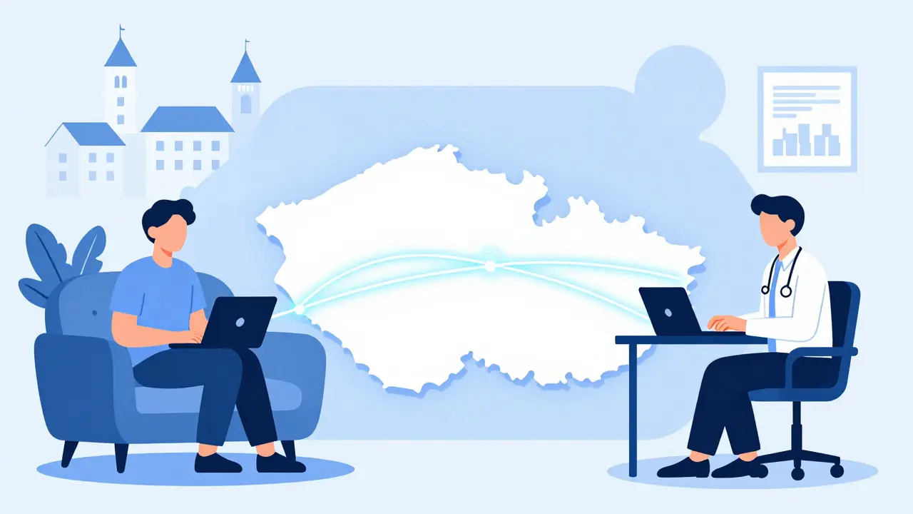 Člověk v regionu využívající online terapii přes počítač.