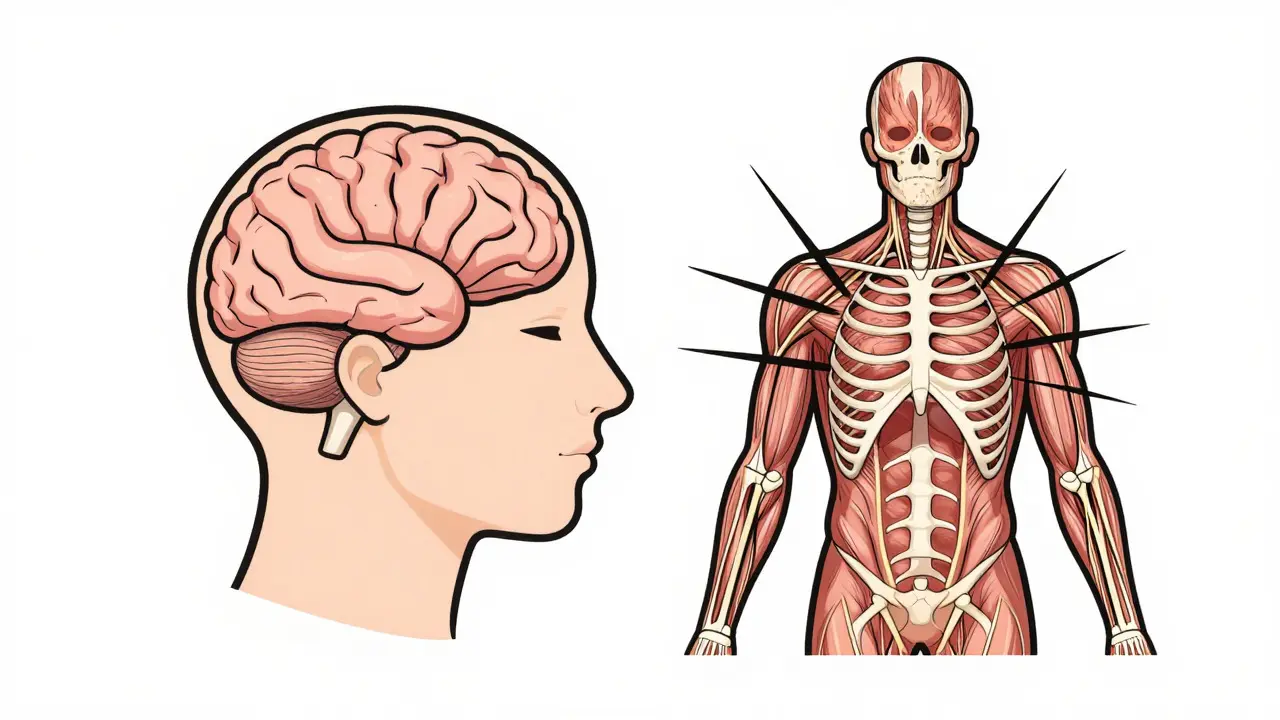 Senzomotorická psychoterapie pro trauma: Léčba přes tělo a somatické prožívání