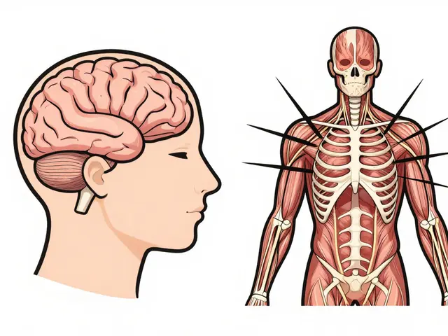 Senzomotorická psychoterapie pro trauma: Léčba přes tělo a somatické prožívání